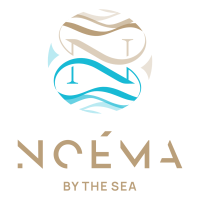 noema_logo